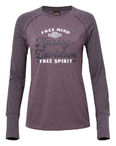 Harley davidson shirt raglan - harley-davidson,